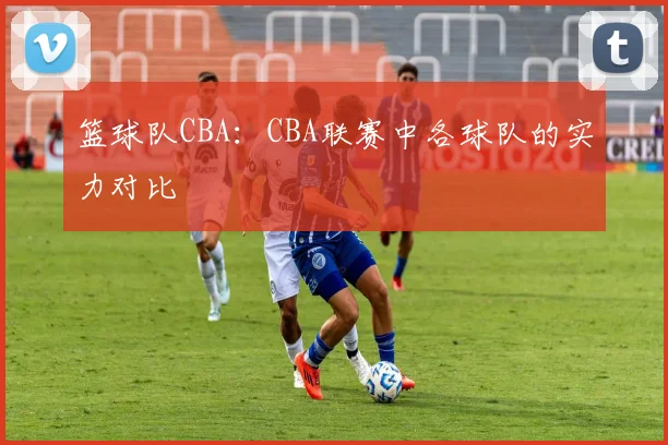 篮球队CBA：CBA联赛中各球队的实力对比