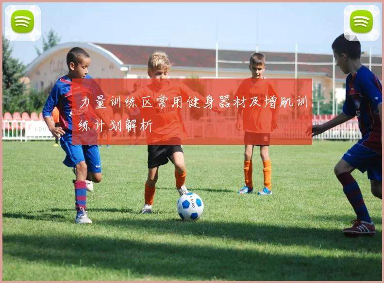 力量训练区常用健身器材及增肌训练计划解析