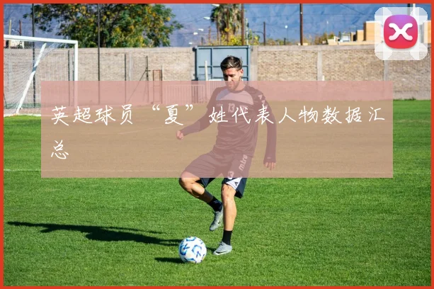 英超球员“夏”姓代表人物数据汇总