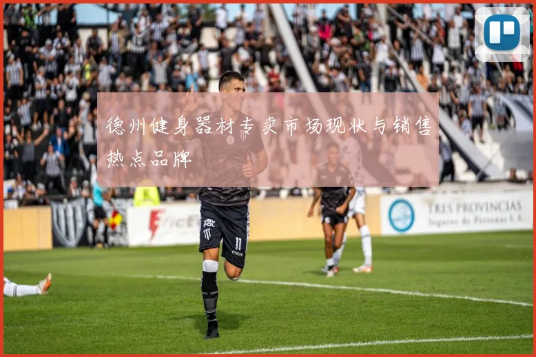 德州健身器材专卖市场现状与销售热点品牌