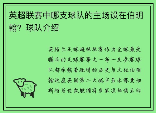 英超联赛中哪支球队的主场设在伯明翰？球队介绍